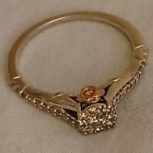 Meet your Posher, Sash